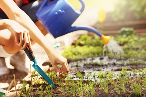 Professional decking construction in Plumstead