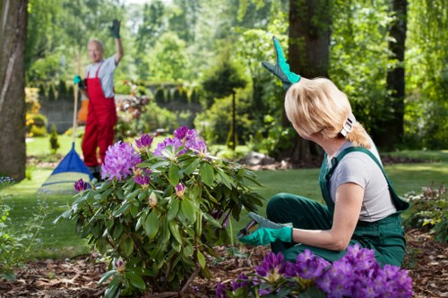 Maintenance tips for wooden decks