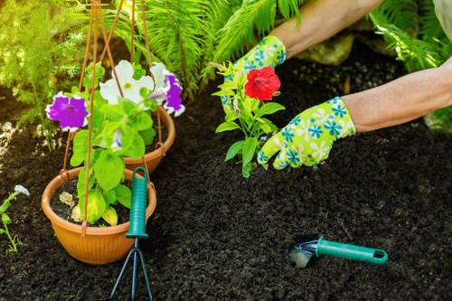 The image depicts a gardener's hands wearing colorful floral-patterned gloves while planting a red flower into rich, dark soil within a landscaped garden. In the foreground, two terracotta pots are suspended by vertical supports, containing vibrant purple and white flowering plants, positioned near a lush array of green foliage. A garden hand trowel with a green handle rests on the ground nearby, indicating active gardening work. The garden area features a well-maintained lawn with dense, healthy grass, bordered by a variety of leafy shrubs and ferns, suggesting a thoughtfully landscaped outdoor space typical of residential gardens in Plumstead. Bright, natural daylight illuminates the scene, highlighting the fresh soil, vivid plant colors, and textures of the garden beds. This setup exemplifies professional gardening and lawn care practices offered by Lawn Mowing Plumstead, focusing on flower planting, garden maintenance, and outdoor landscaping enhancements within the local area. The environment appears calm and well-kept, reflecting regular garden care in a typical suburban setting, supporting a thriving and aesthetically pleasing outdoor space.