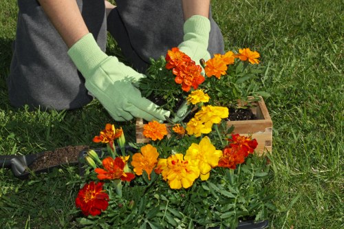 Contact Plumstead Lawn Mowing for professional lawn care
