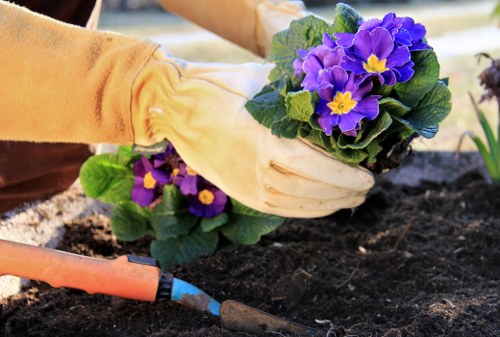 Eco-friendly lawn care practices in Plumstead