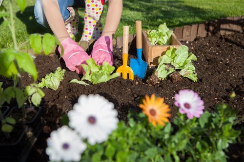 Summer garden maintenance techniques