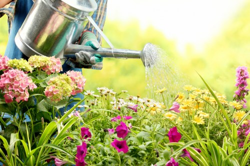 Seasonal lawn care activities in Plumstead