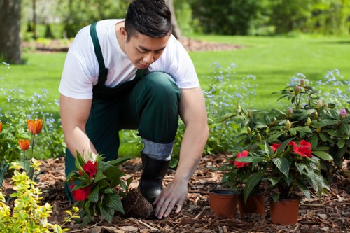 Seasonal garden maintenance in Plumstead