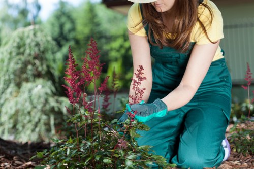 Our mission to provide unparalleled lawn mowing services