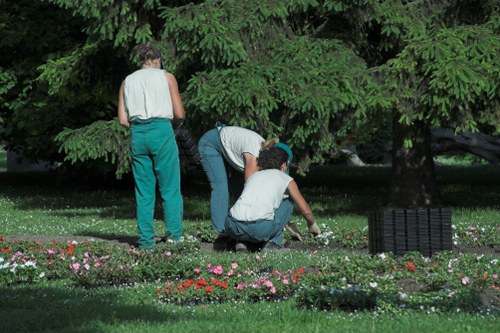 Native plants and sustainable garden elements in Plumstead landscaping