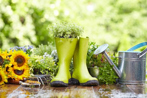 Autumn garden cleanup in Plumstead