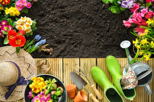 Eco-friendly decking options in Plumstead