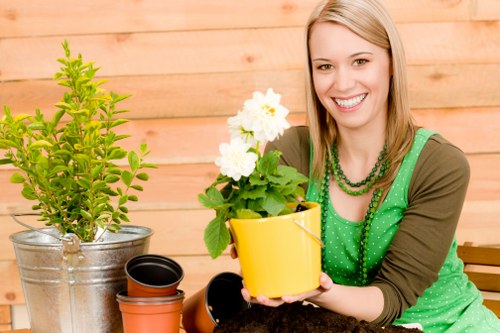 Spring garden care activities in Plumstead