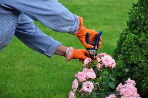 Green waste being collected and segregated for recycling
