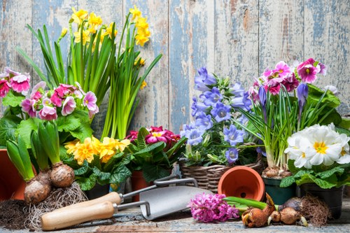 Reasons to choose Plumstead Lawn Mowing services